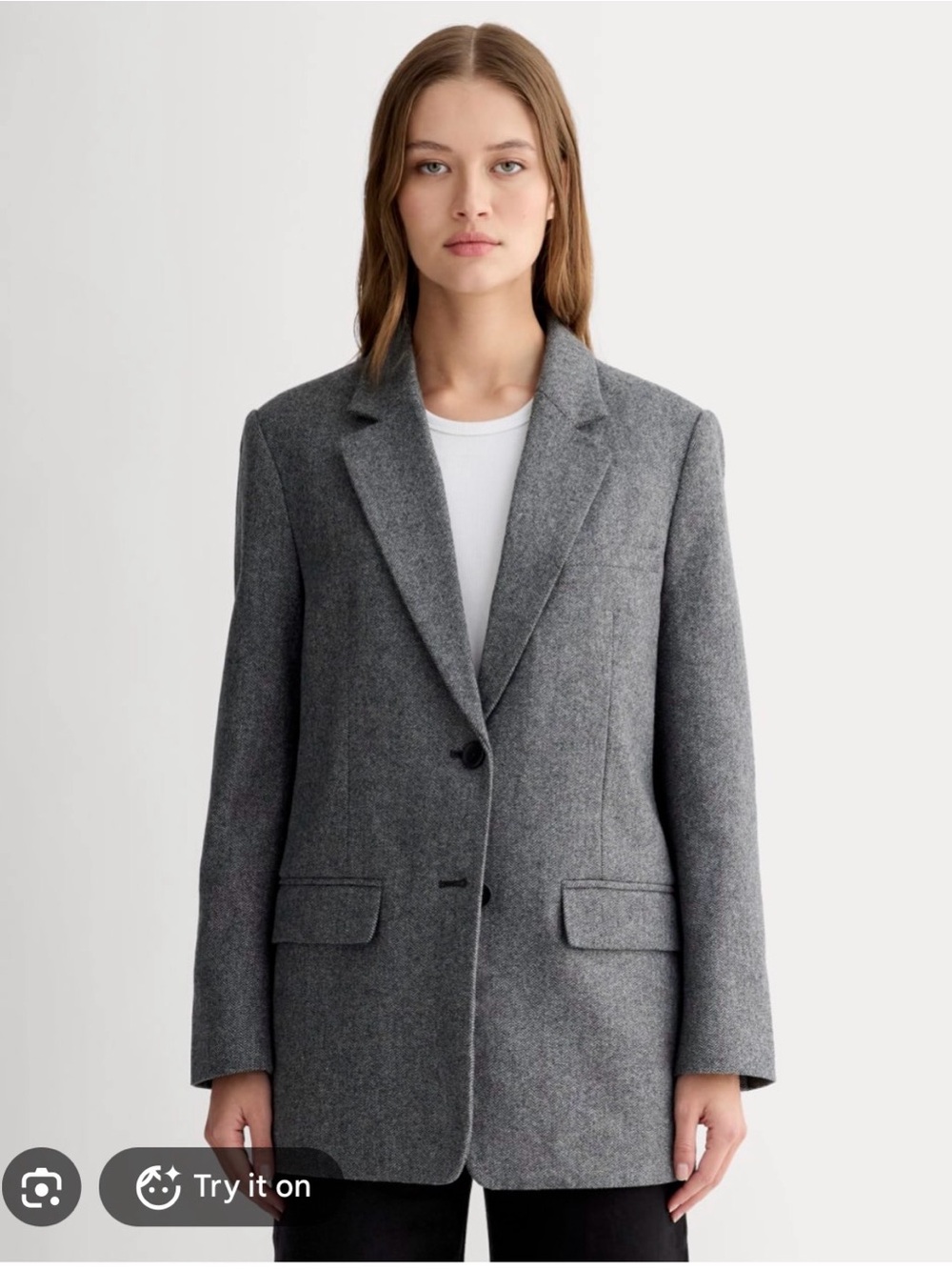Everlane Wool Blend Oversized Blazer